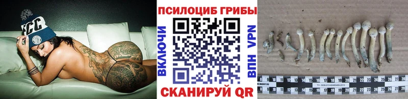 OMG зеркало Уссурийск Псилоцибиновые грибы Psilocybine cubensis