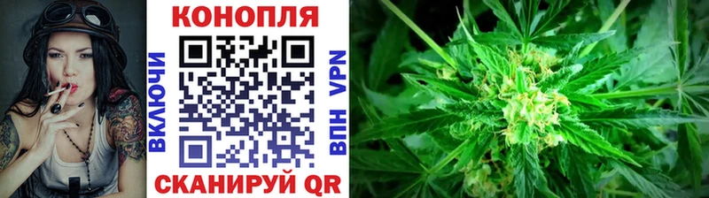 Бошки марихуана план  Уссурийск 